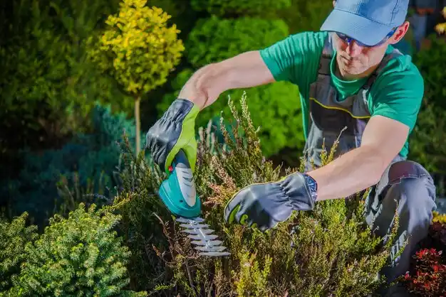 landscaping services Robinhood